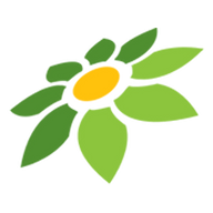 JAYAJEPE